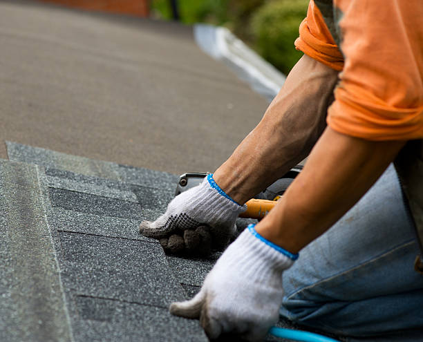 Best Roof Gutter Cleaning  in Gray, TN