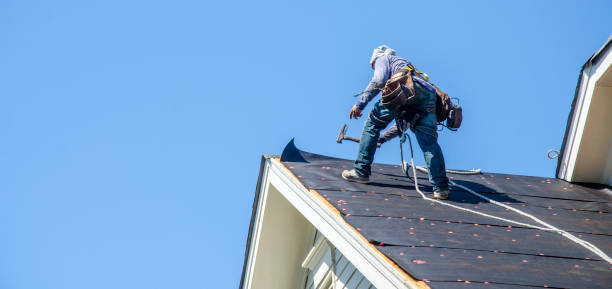 Professional Roofing Contractor in Gray, TN